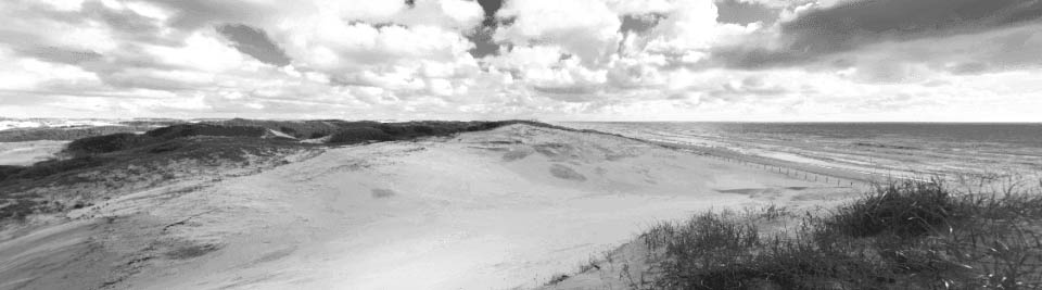 Landschap Nationaal Park Zuid-Kennemerland